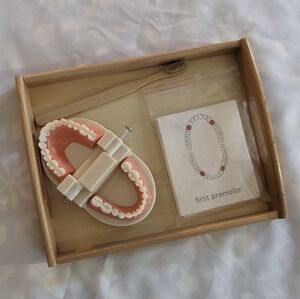 Montessori Style Tooth Brushing Toy